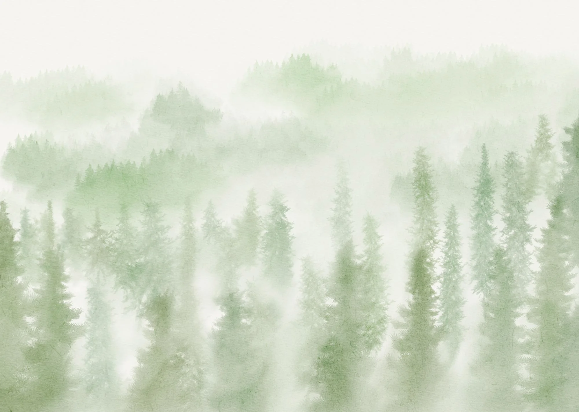 Blurry Woods Mural Wallpaper - Image 2