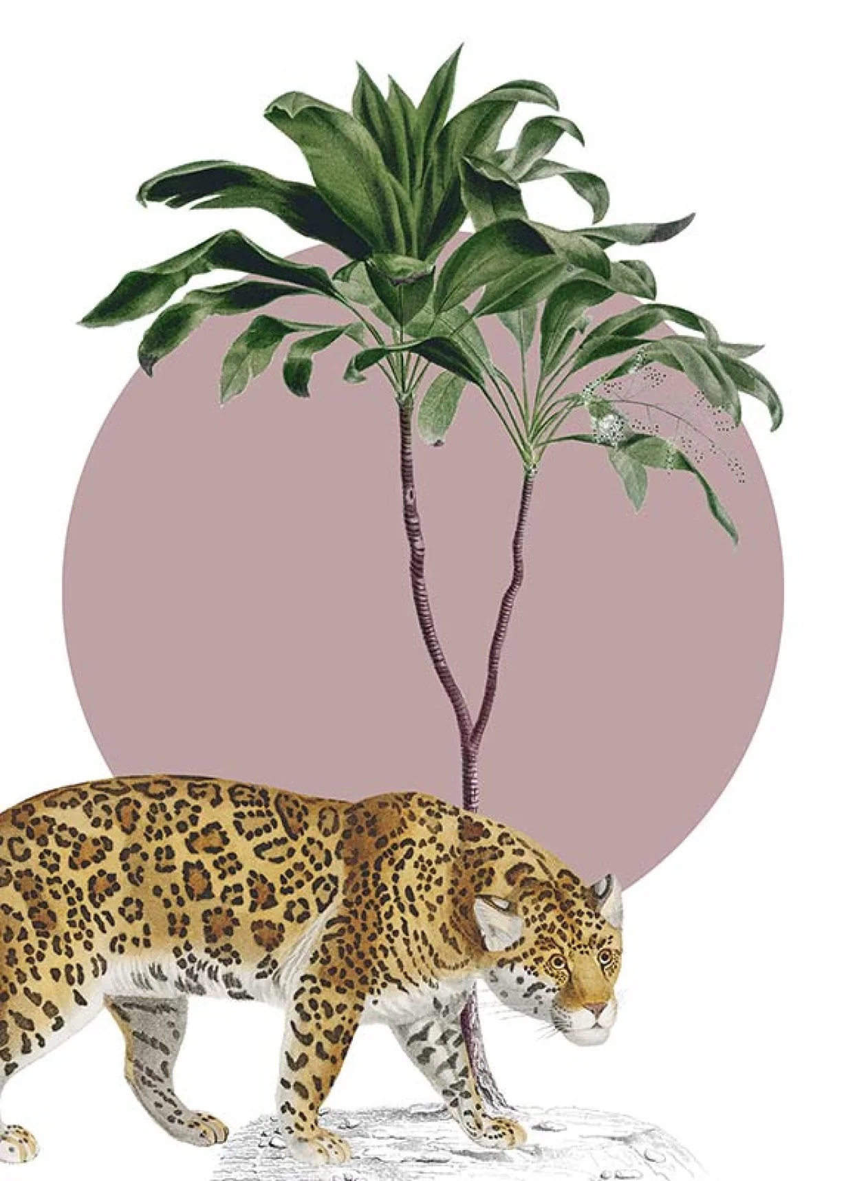 Botanical Garden Jaguar Art Poster - Image 2