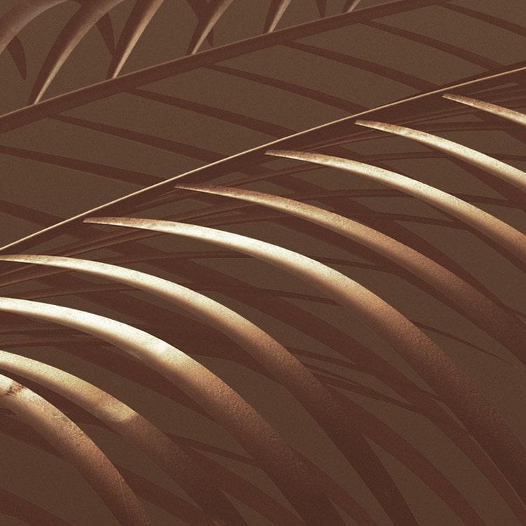 Calypso Mural Wallpaper - Image 6