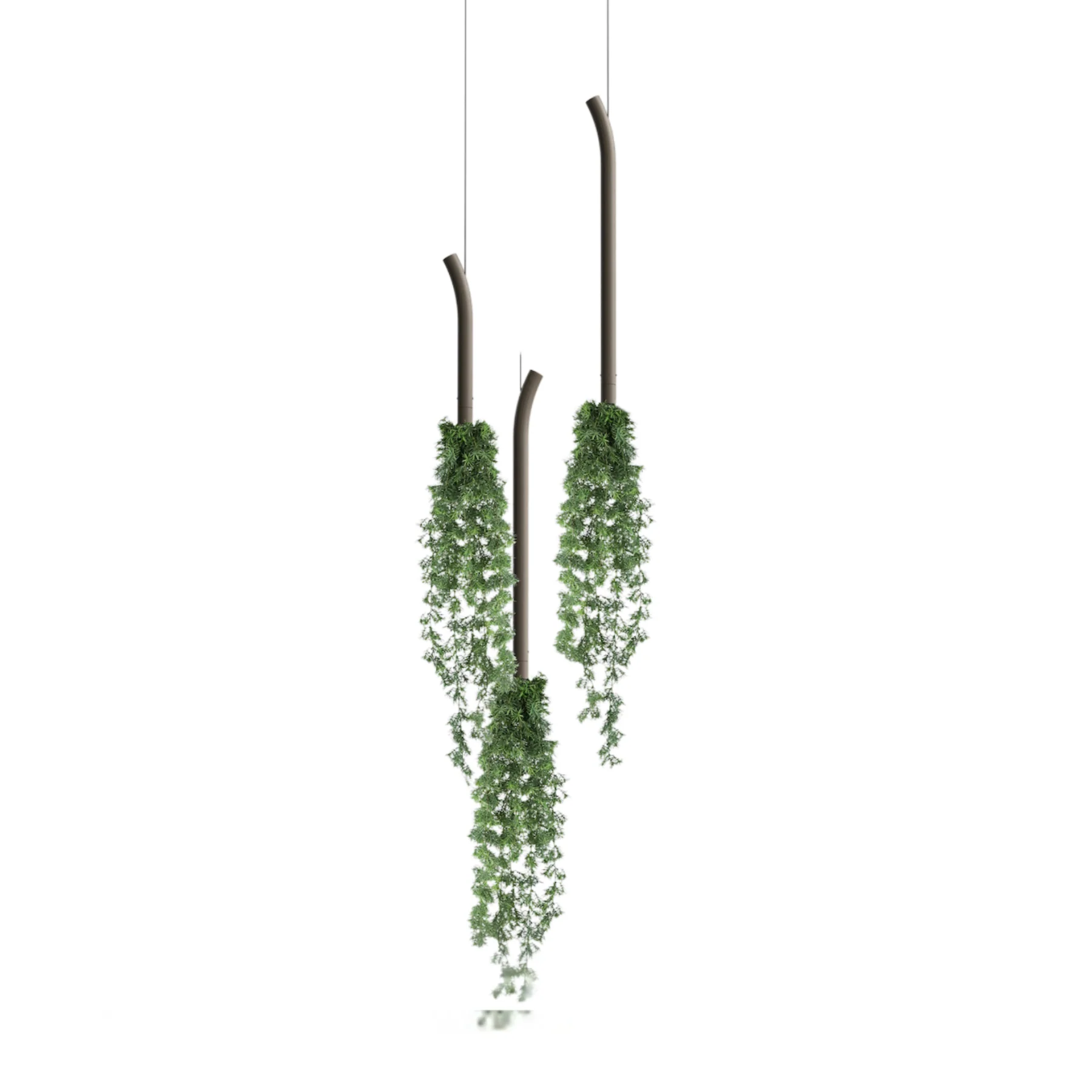 Cascade Curved Suspended Planter with Preserved Plants