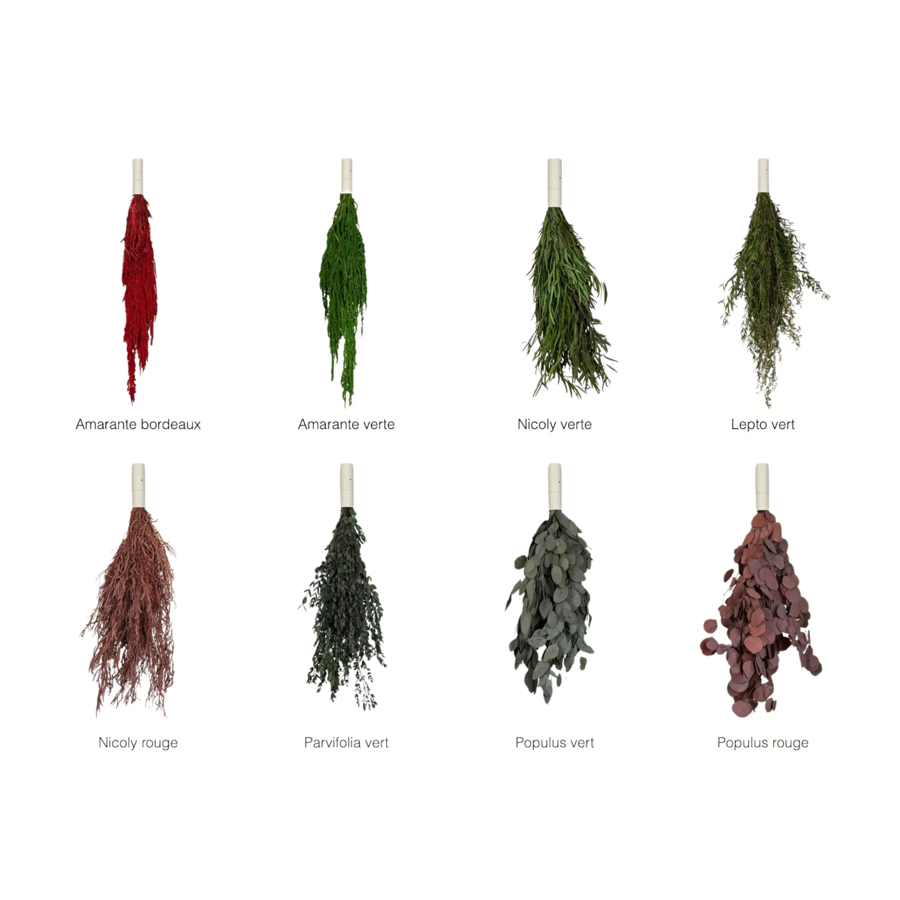 Cascade U-Shaped Suspended Planter with Preserved Plants - Image 18