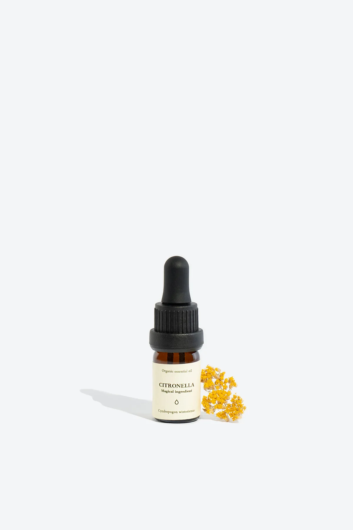 Citronella Bark Organic Essential Oil - Image 3