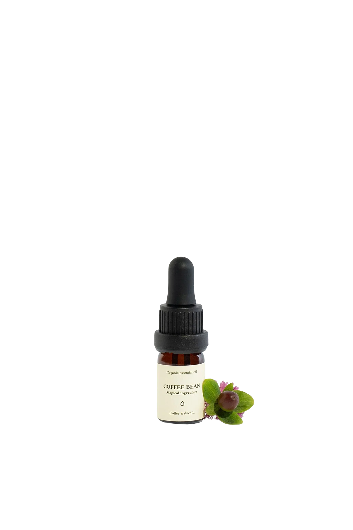 Coffee Bean Organic Essential Oil
