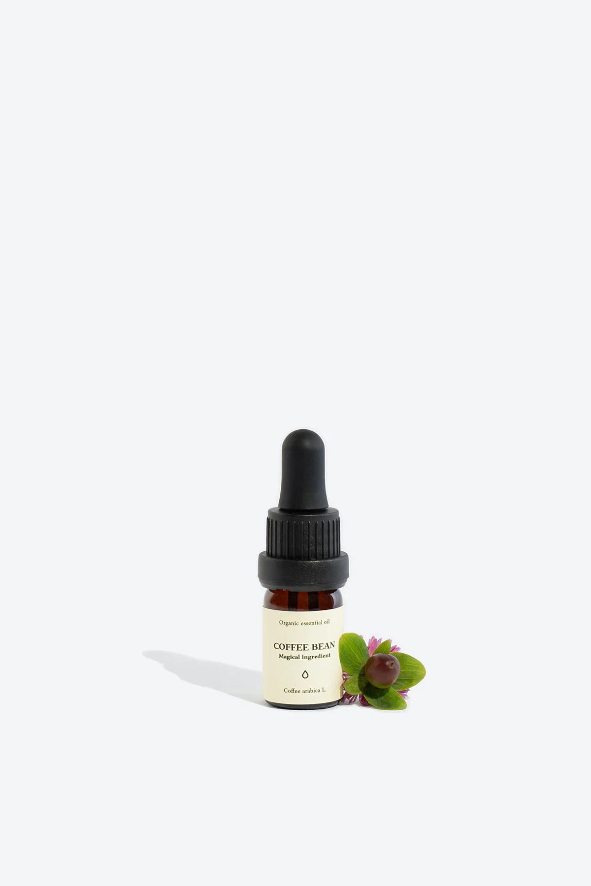 Coffee Bean Organic Essential Oil - Image 3