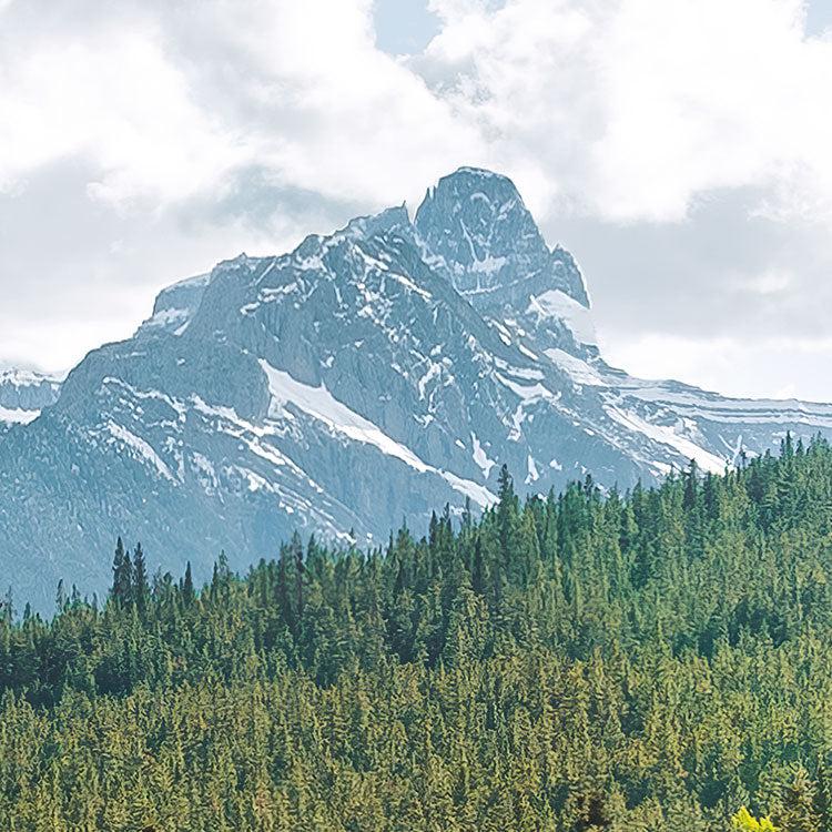 Wild Canada Mural Wallpaper - Image 5