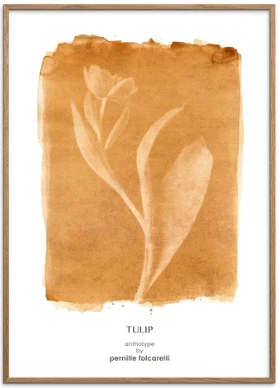 Tulip Ochre Original Artist Poster