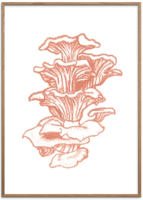 Oyster Mushroom Original Artist Poster