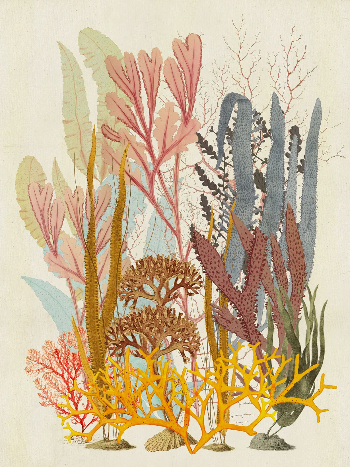 Coral Aqua Stretched Canvas - Image 2