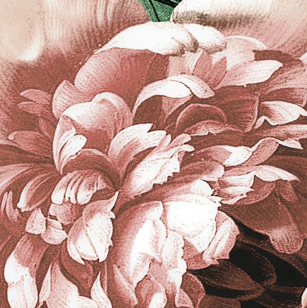 Couture Florals Circle Wallpaper (Self-Adhesive) - Image 8