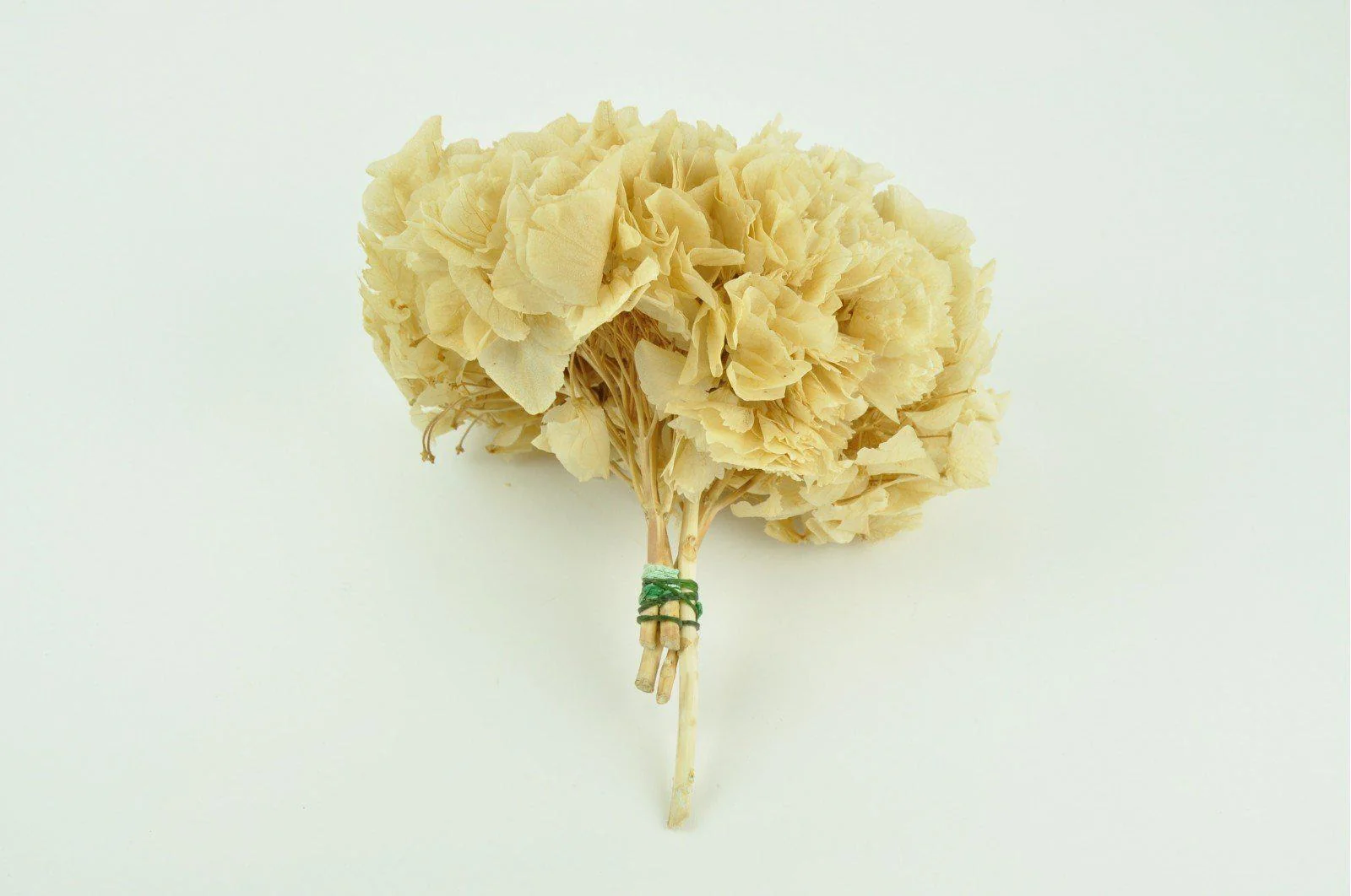 Kenyan Cream Hydrangea Bouquet - Image 4