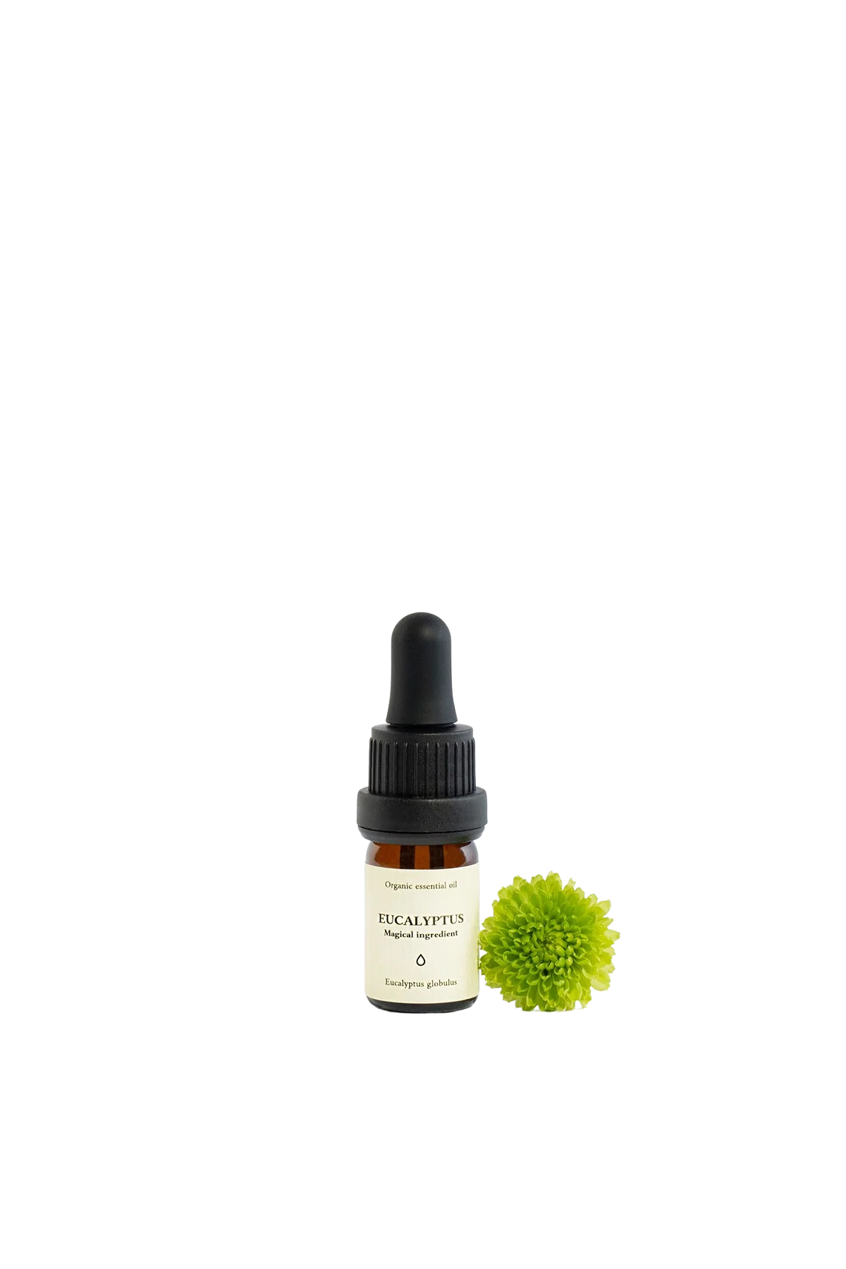 Eucalyptus Organic Essential Oil
