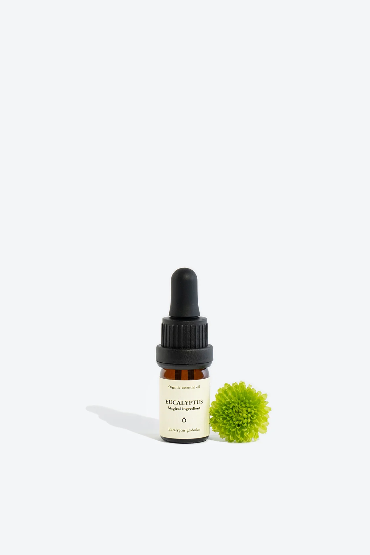 Eucalyptus Organic Essential Oil - Image 3