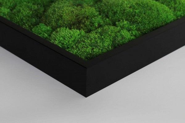Forest Green Moss Wall Art (100x60cm) - Image 7