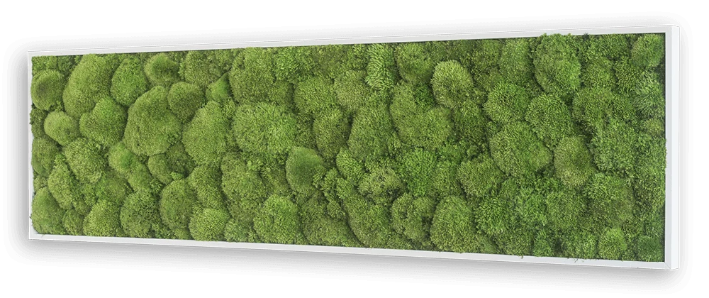 Wide Green Moss Wall Art (140x40cm) - Image 3