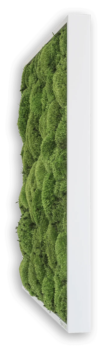 Wide Green Moss Wall Art (140x40cm) - Image 4
