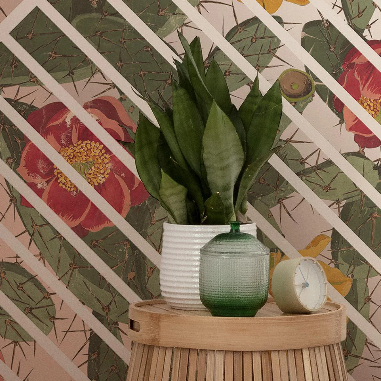 Cactus Wallpaper Mural - Image 5