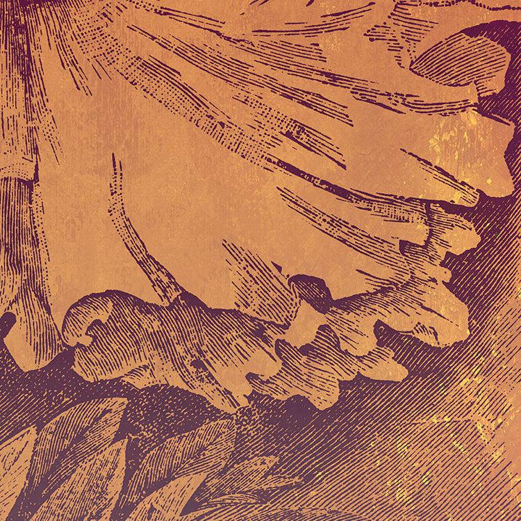 Flower Energy Mural Wallpaper - Image 6