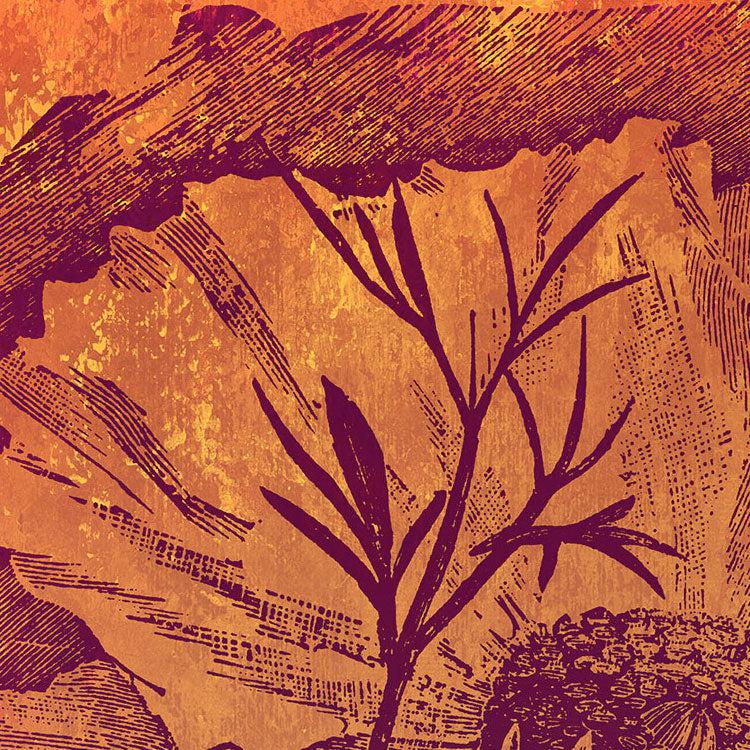 Flower Energy Mural Wallpaper - Image 7