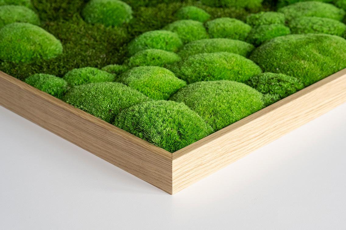 Forest Square Moss Wall Art (80cm) - Image 14