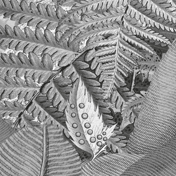 Frais Black and White Jungle Mural - Image 9