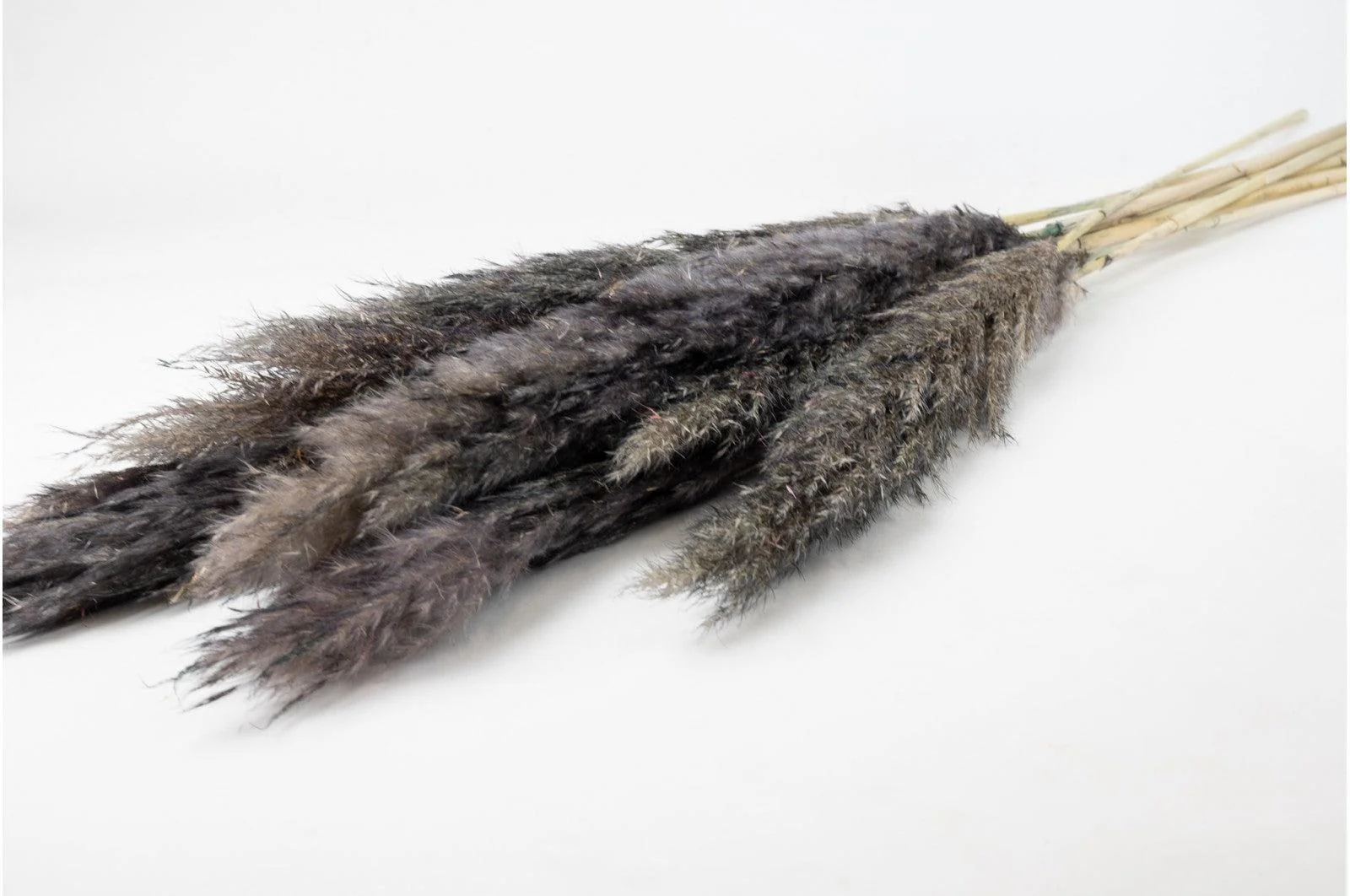 French Grey Pampas Bouquet - Image 3