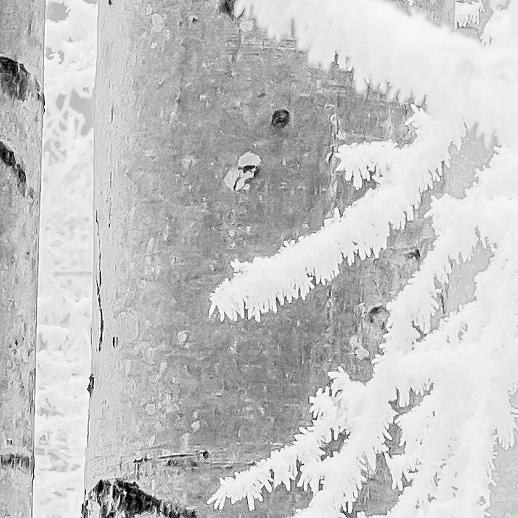 Frozen Forest Mural Wallpaper - Image 5