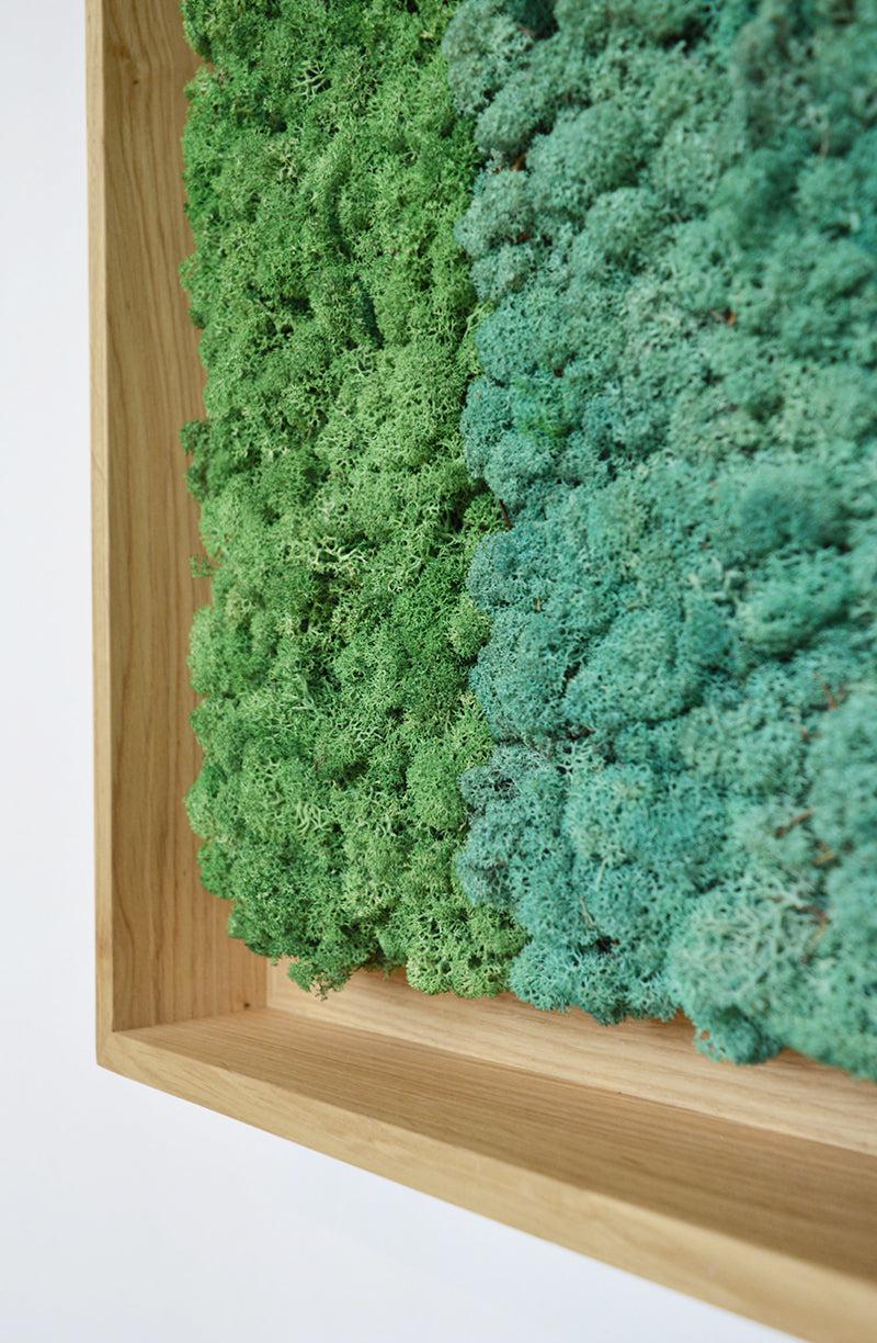 Geometric Framed Moss Wall Art (Series A) - Image 14