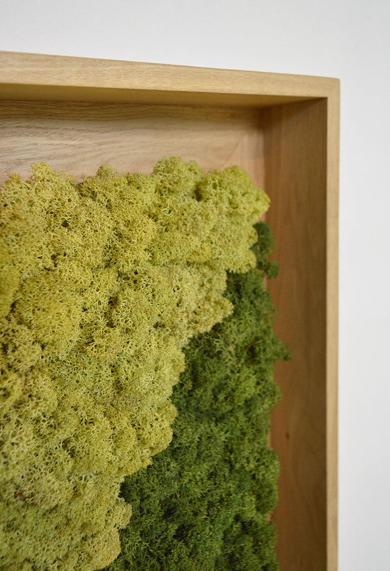 Geometric Framed Moss Wall Art (Series E) - Image 12
