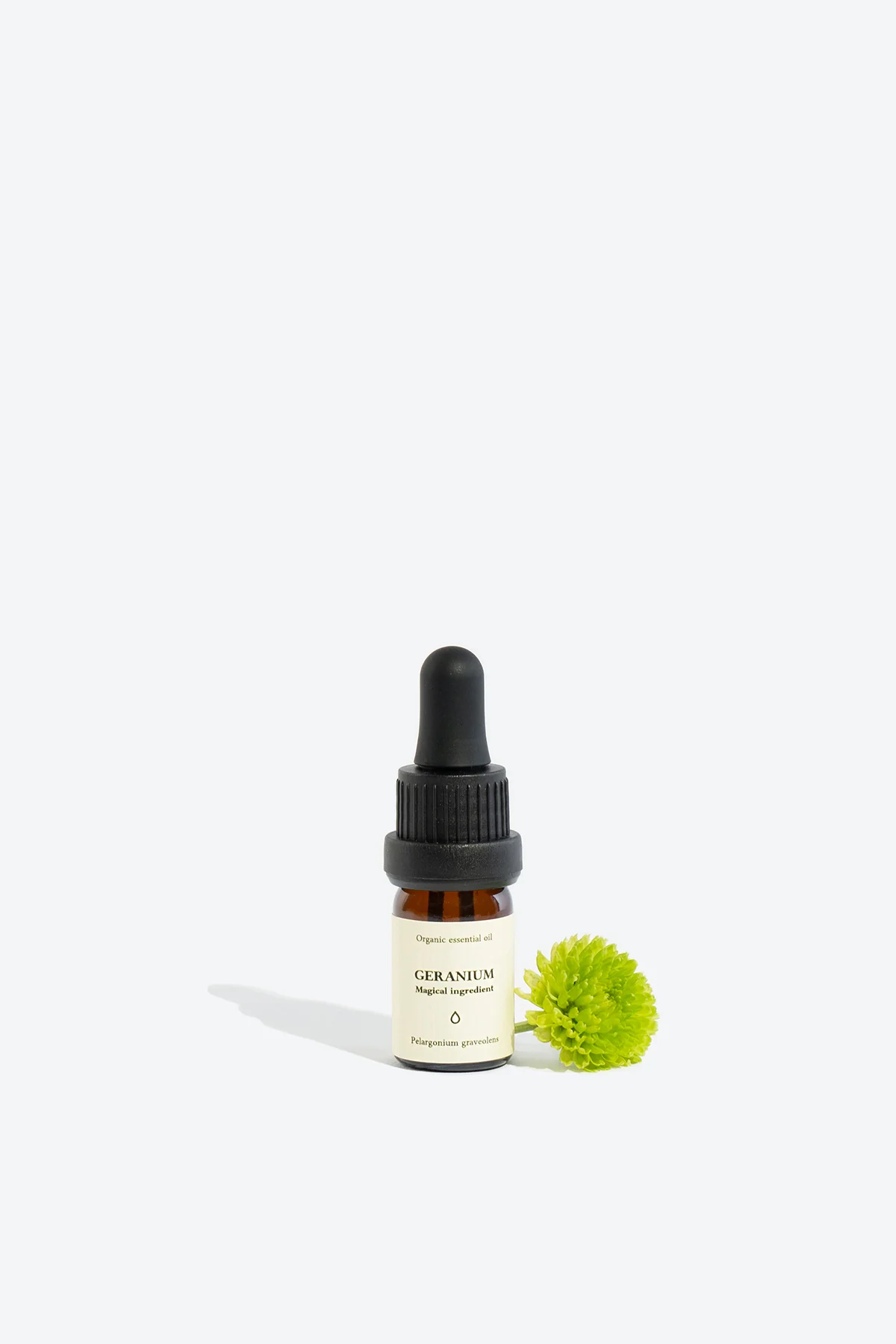 Geranium Organic Essential Oil - Image 3