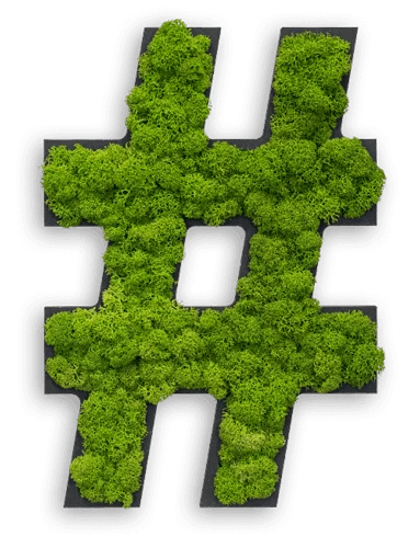 Moss Letters and Symbols Wall Art - Image 10