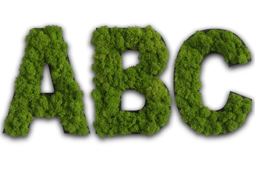 Moss Letters and Symbols Wall Art - Image 8