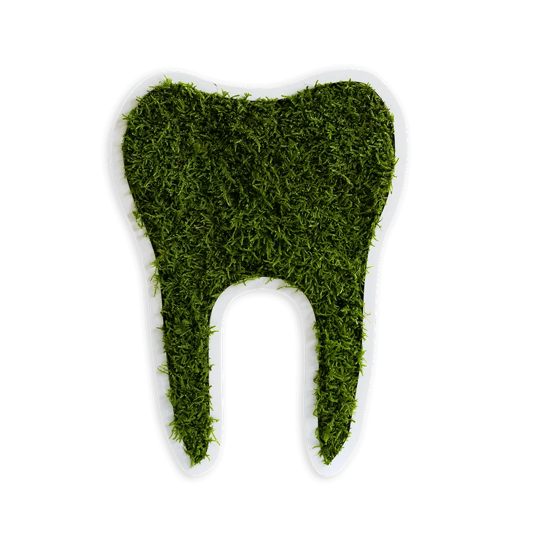 Green Moss Tooth Decor Forest Moss Wall Art