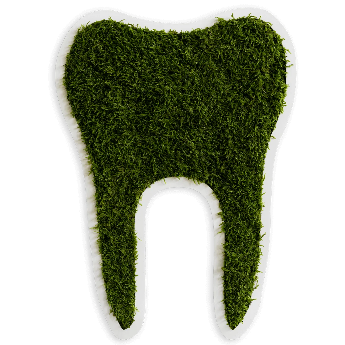 Green Moss Tooth Decor Forest Moss Wall Art - Image 6