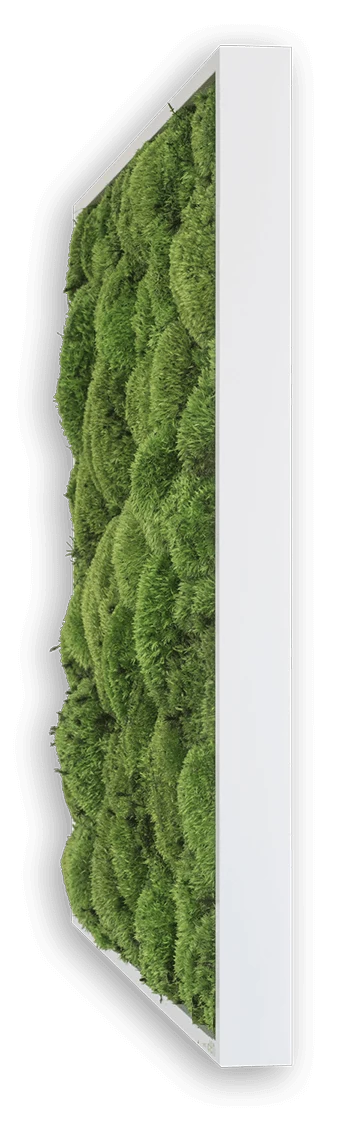 Green Square Moss Art (35cm) - Image 5