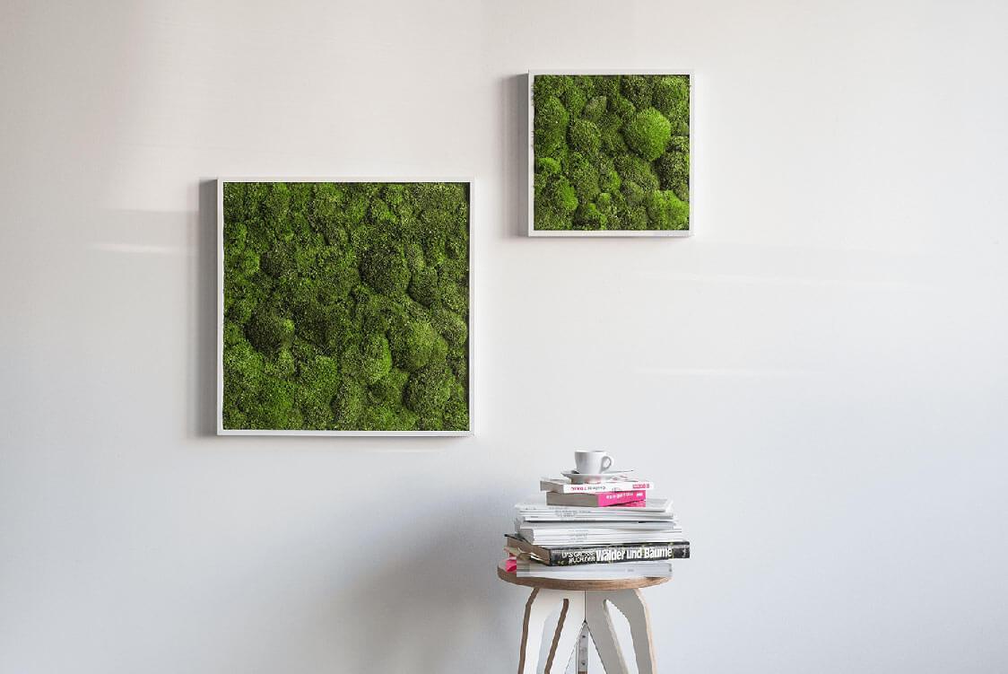 Green Square Moss Art (35cm) - Image 6