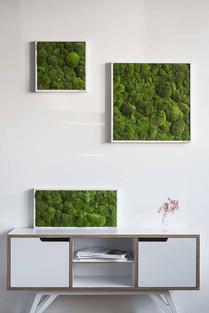 Green Square Moss Art (35cm) - Image 8
