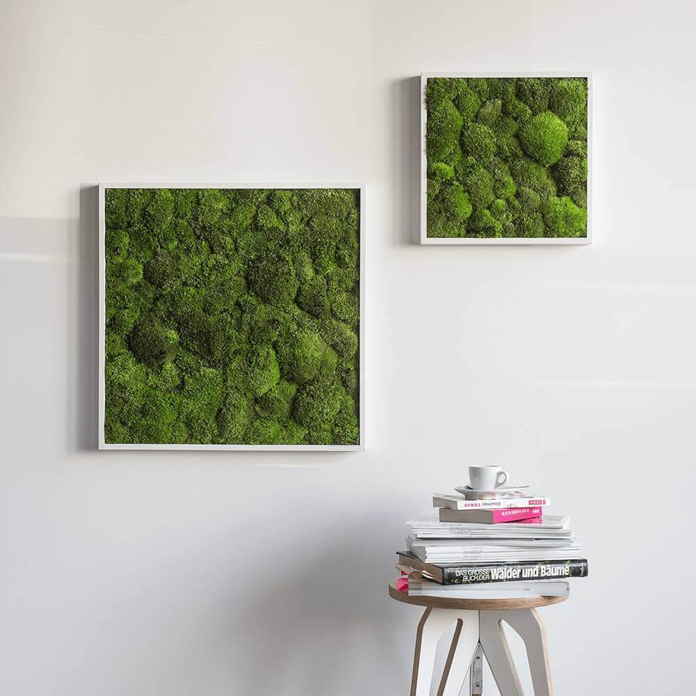 Green Square Moss Art (55cm) - Image 15