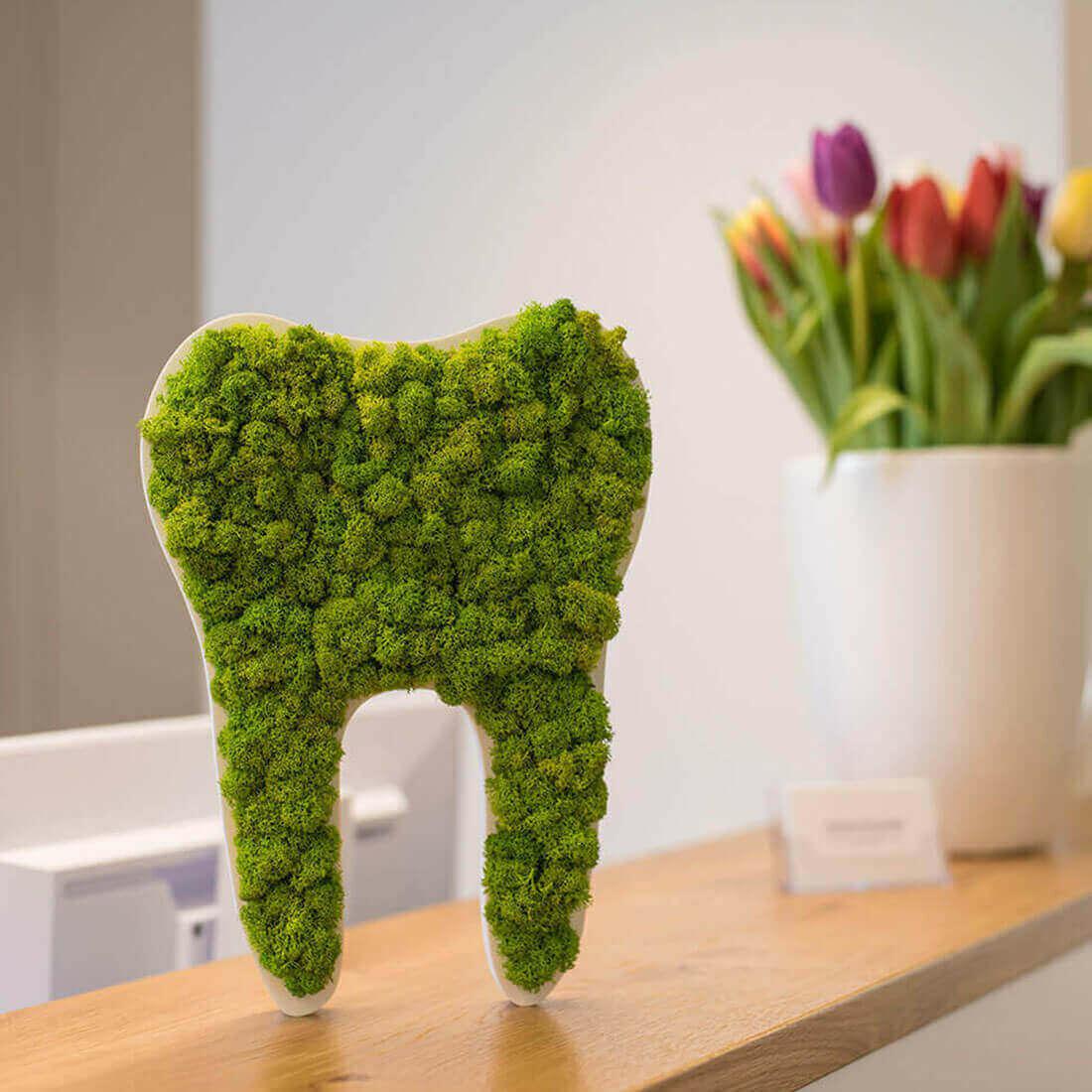 Green Tooth Nordic Moss Decor - Image 2