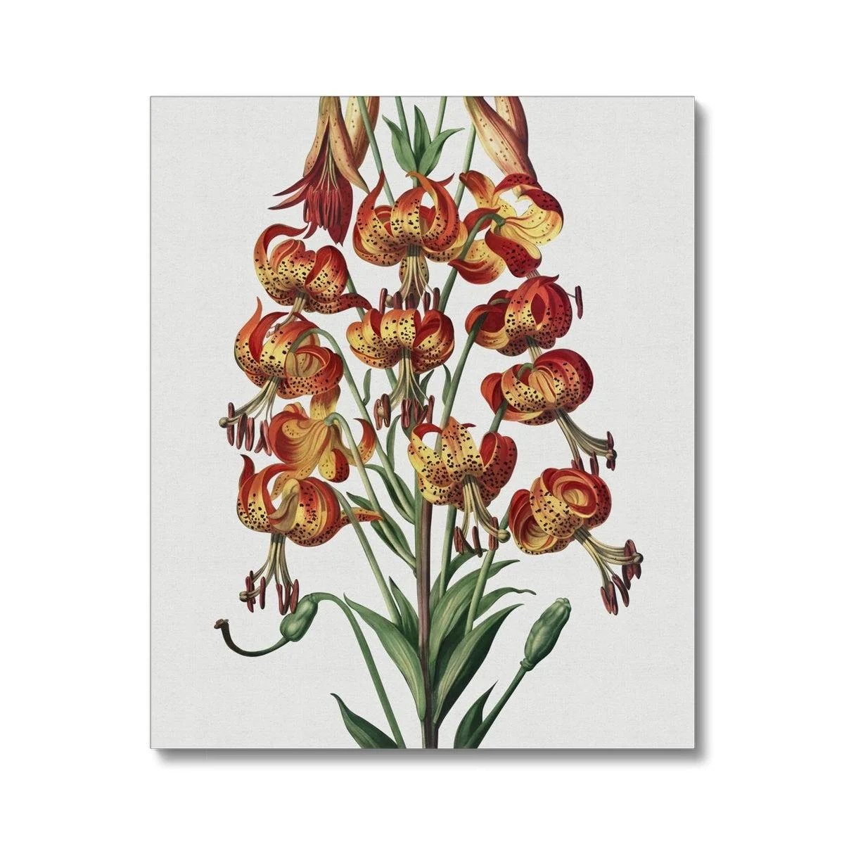 Happy Fuchsia Canvas - Image 2