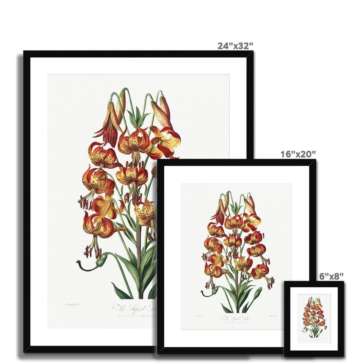 Happy Fuchsia Framed & Mounted Print - Image 10