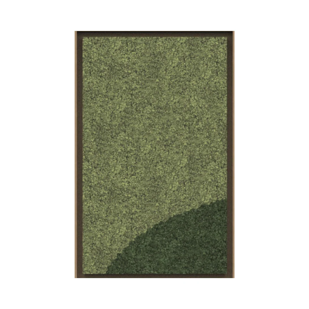 Harmony Framed Moss Wall Art (Series D)