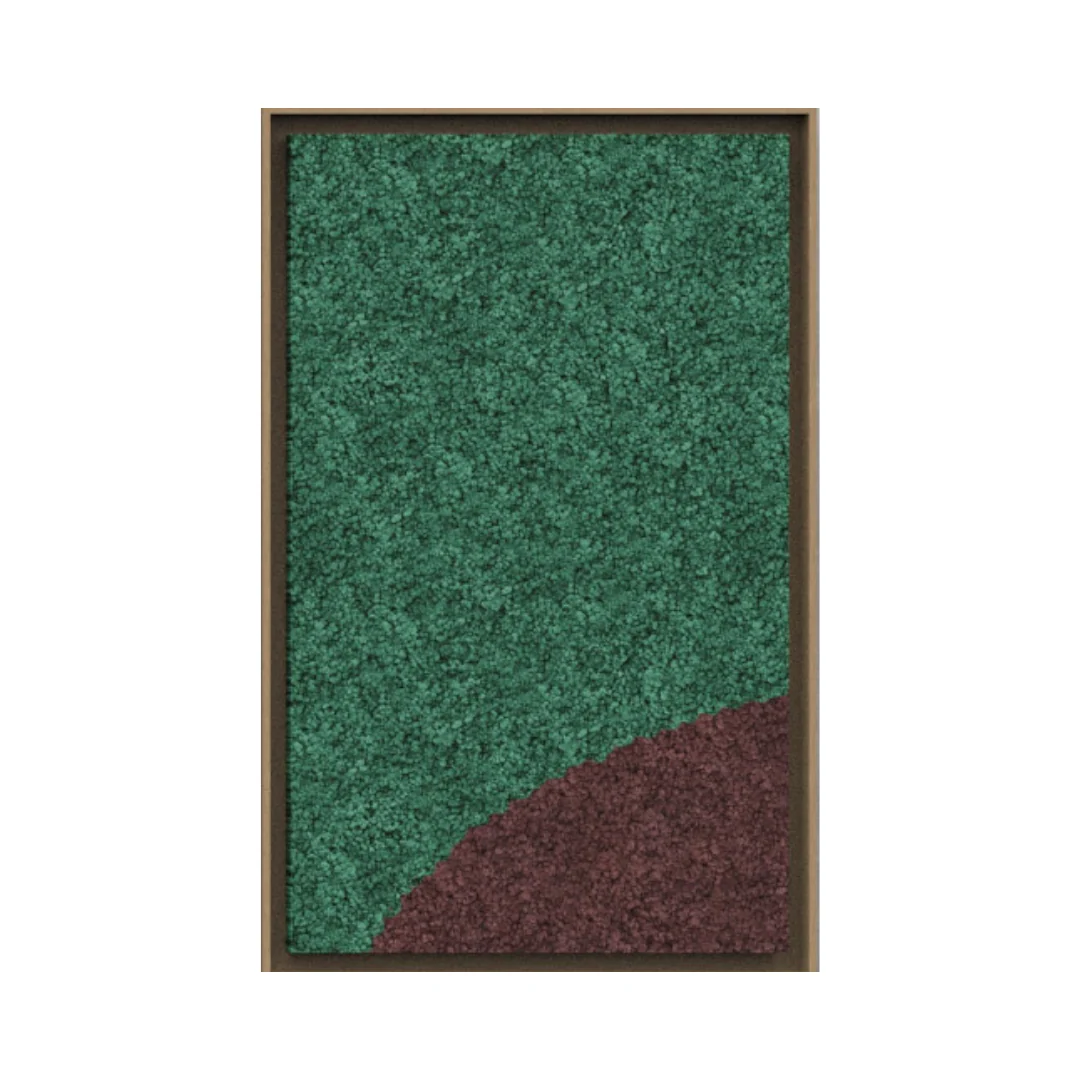 Harmony Framed Moss Wall Art (Series D) - Image 10