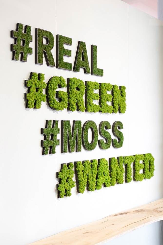 Hashtag Symbol Moss Wall Art - Image 3