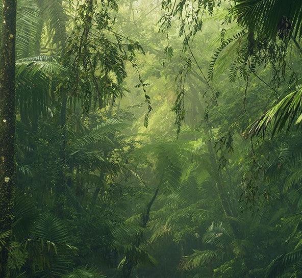 Into the Wild Mural Wallpaper - Image 5