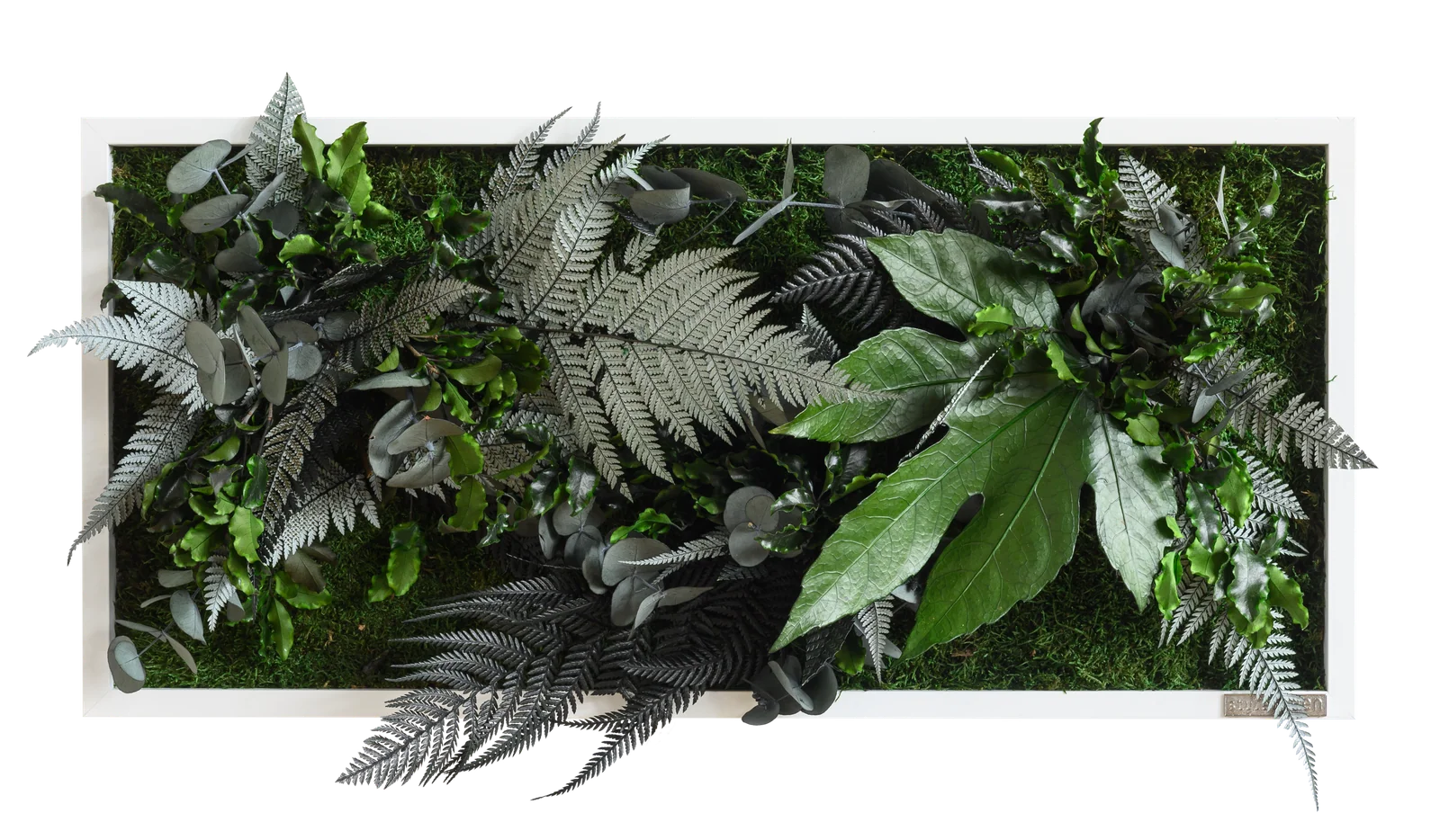Jungle Rectangular Plant and Moss Wall Art (55x27cm)