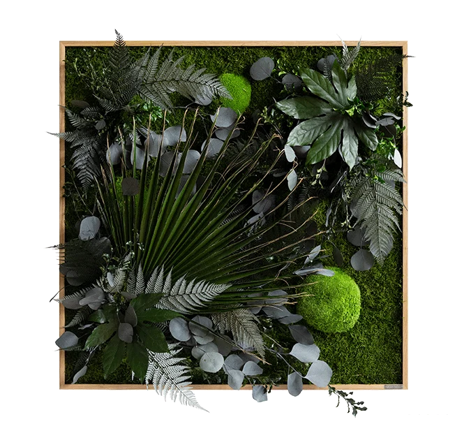 Jungle Squared Plant and Moss Wall Art (80cm) - Image 5