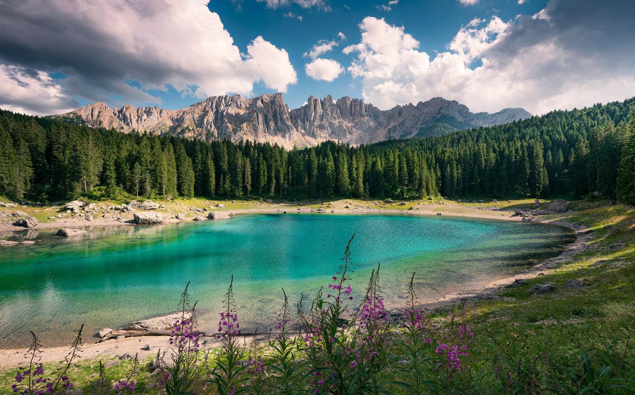 Lake Wanderer Mural Wallpaper - Image 2