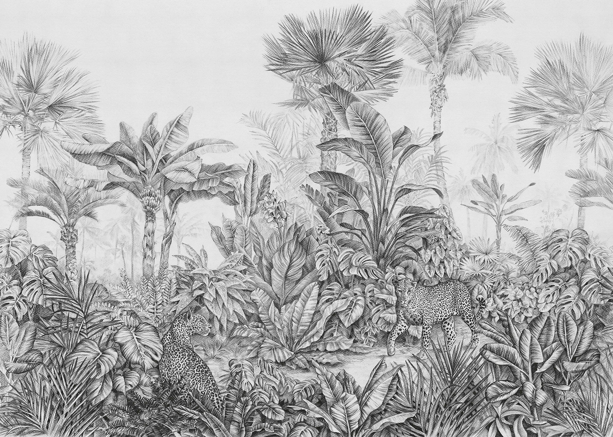 Léopards Mural Wallpaper - Image 2