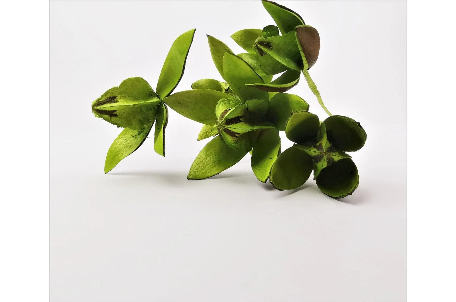 Italian Light Green Lily Flower Bouquet - Image 3