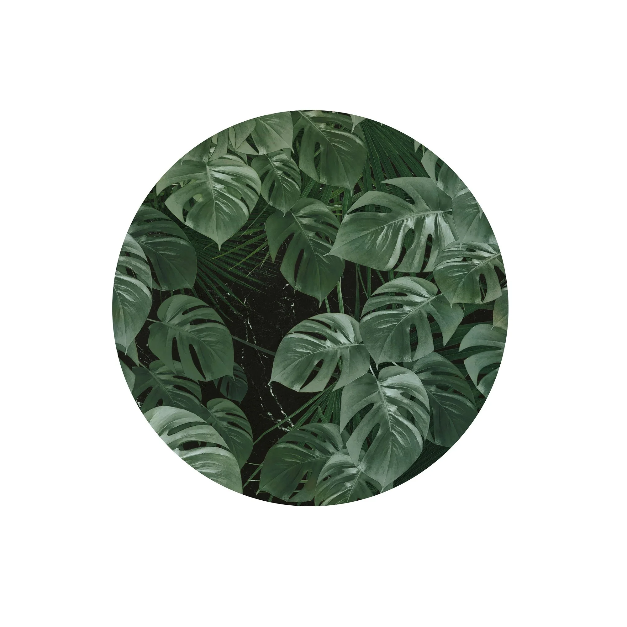 Novel Monstera Circle Wallpaper (Self-Adhesive) - Image 2